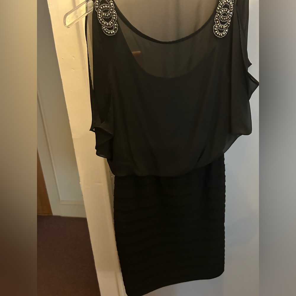 Elegant Black Sheer Dress
